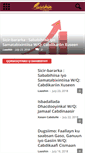 Mobile Screenshot of laashin.com